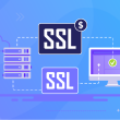 Free SSL Vs Paid SSL Certificate: Which is Best for You?