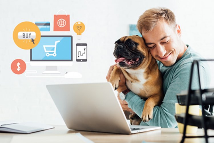 çevrimiçi para kazanmak