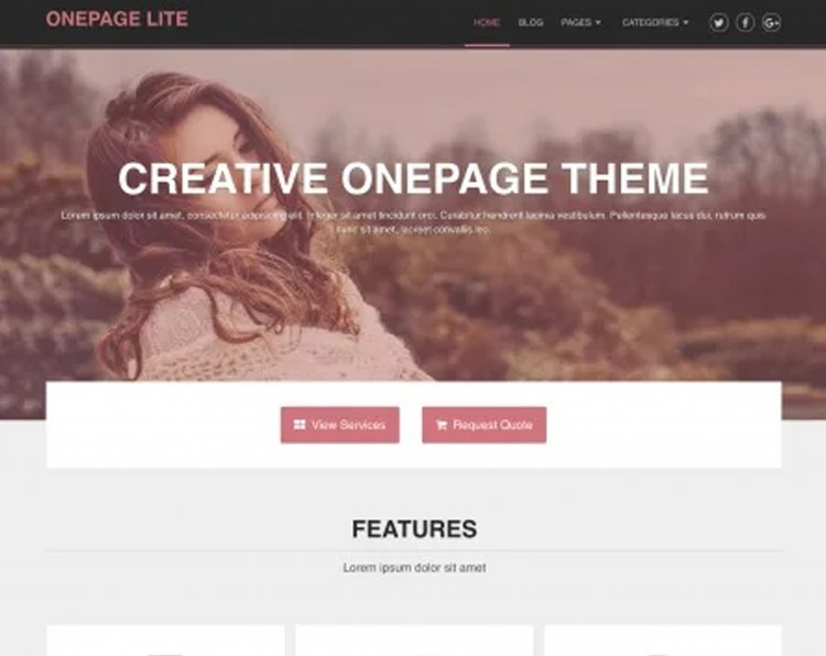 En İyi Ücretsiz WordPress Teması 2022