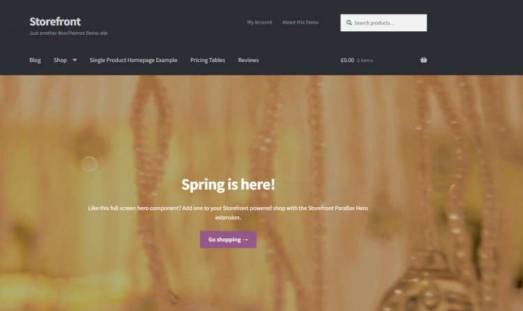 En İyi Ücretsiz WordPress Teması 2022