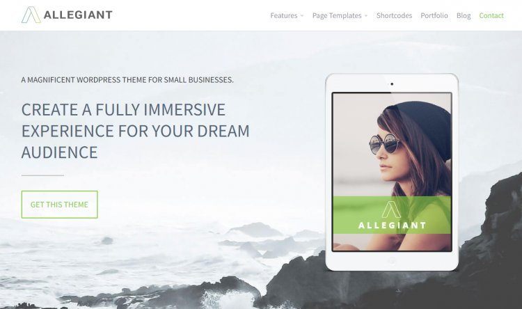 En İyi Ücretsiz WordPress Teması 2022