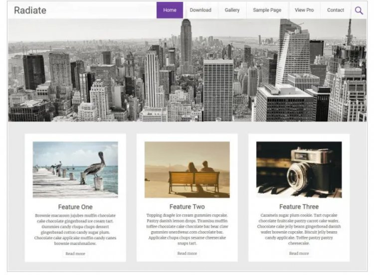 En İyi Ücretsiz WordPress Teması 2022
