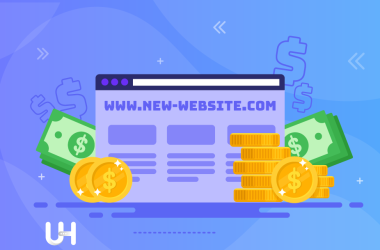 Website cost