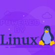 lightweight Linux distro