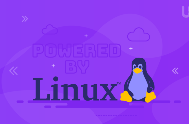 lightweight Linux distro