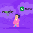 Difference Between Nginx vs. Node.js