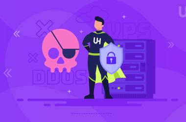 DDoS-Protected VPS