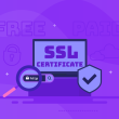 SSL certificate cost