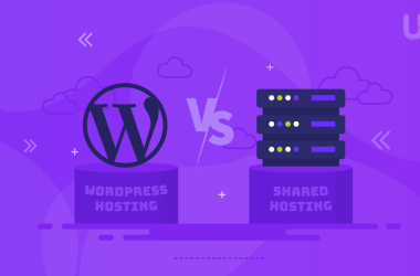 WordPress Hosting or Shared Hosting