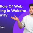 The role of web hosting in website security and data privacy