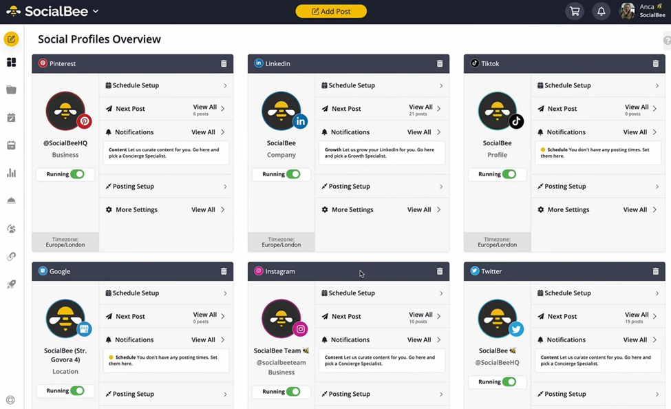 Social Bee