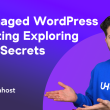 Managed WordPress Hosting - Exploring the Secrets to Professional Performance