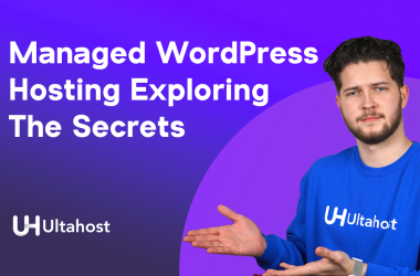 Managed WordPress Hosting - Exploring the Secrets to Professional Performance