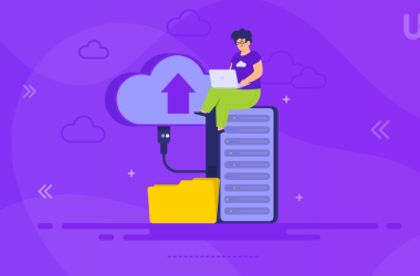 New Zealand Businesses