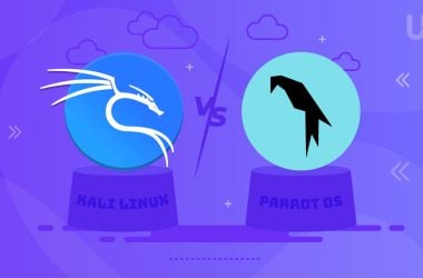 Kali vs Parrot