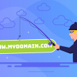 Domain Hijacking