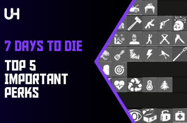 5 perks image