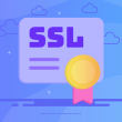 Exploring different types of SSL certificats