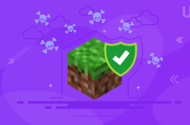 Minecraft Server Security