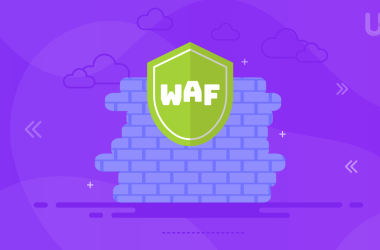 Web Application Firewalls (WAFs)