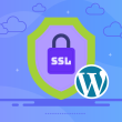WordPress SSL Plugins