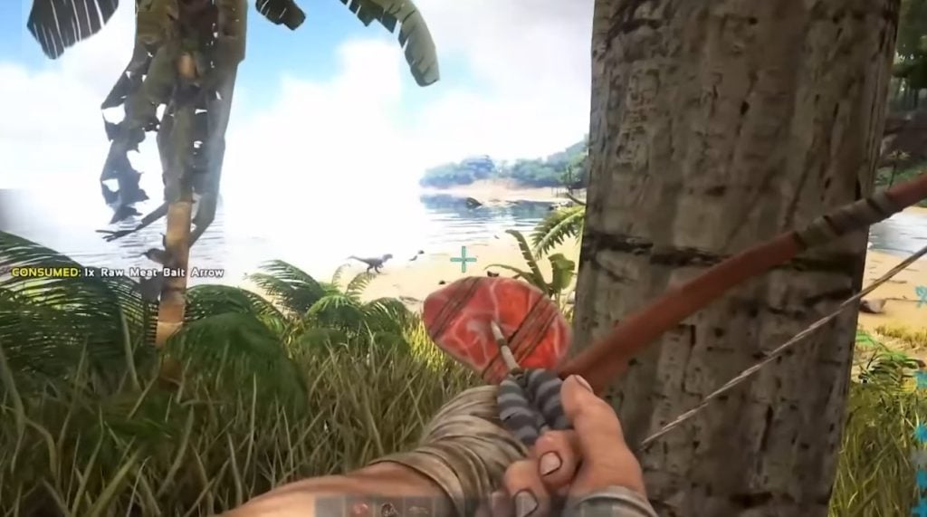 Immersive Timing в топ-5