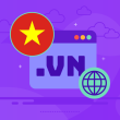 .VN Domain