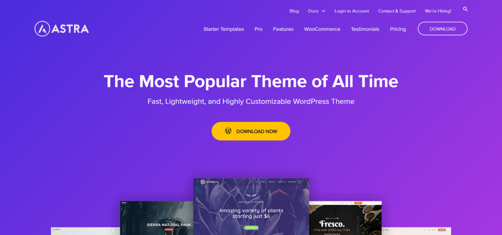 Astra WordPress 테마