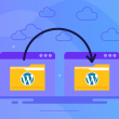 Best WordPress Migration Plugins