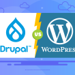 Drupal vs WordPress