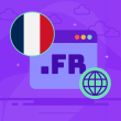 .FR domain