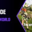 Palword guide