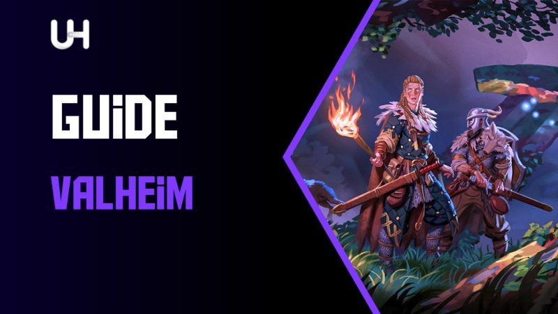 Valheim guide