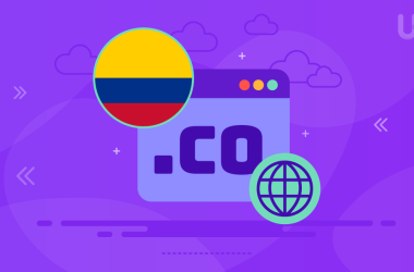 What Is .CO Domain