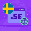 What is a .SE Domain
