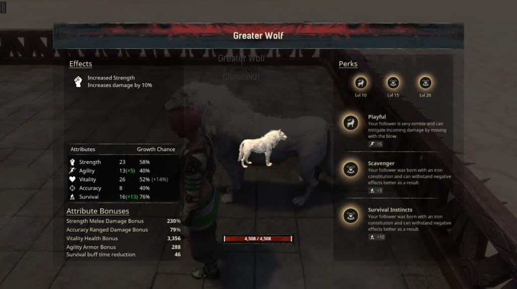 wolf pets