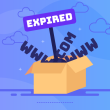 Expired Domains