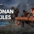 Conan Exiles Shaped Wood