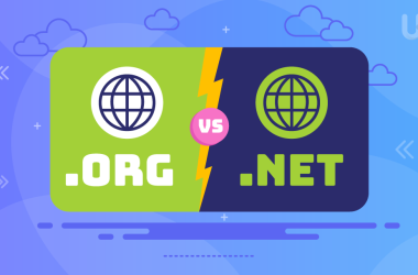 .ORG vs .NET Domains