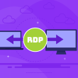 RDP Servers