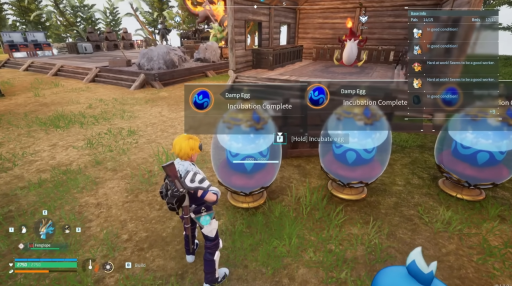 разведение пенгуллетов