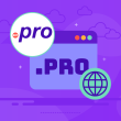 what is .pro domain