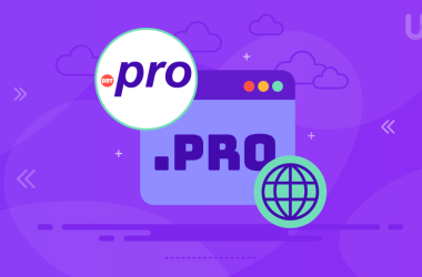 what is .pro domain