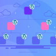 WordPress Template Hierarchy