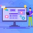 Small Business Website Management
