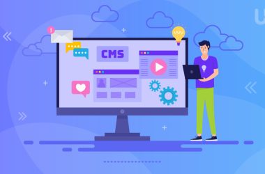 Small Business Website Management