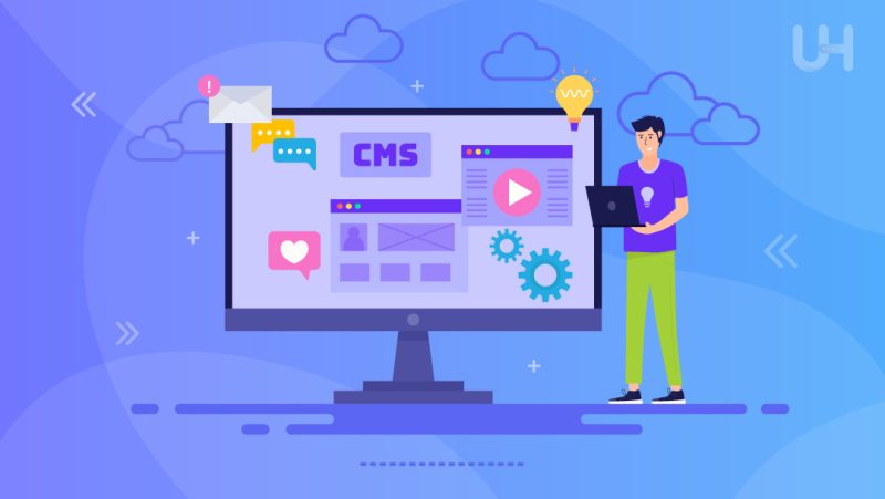 Small Business Website Management