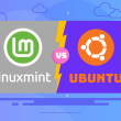Linux Mint vs Ubuntu