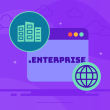 .Enterprise Domain