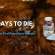 7 days to die potassium nitrate guide